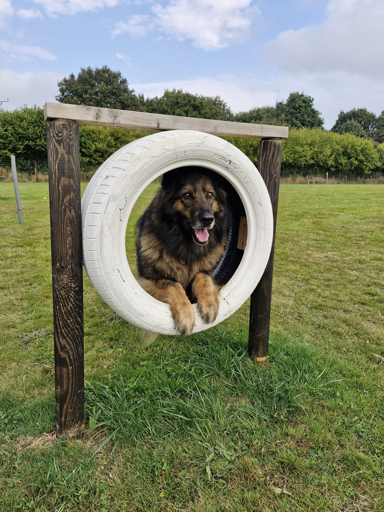 About us – Holly